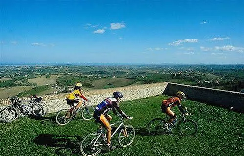 Mediterraneo Club Benessere 4*